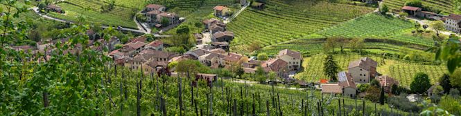 Image for Prosecco Wine content section