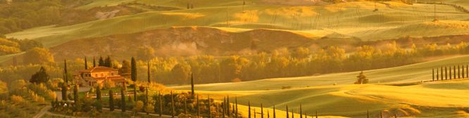 Image for Montepulciano Wine Tuscany, Italy content section