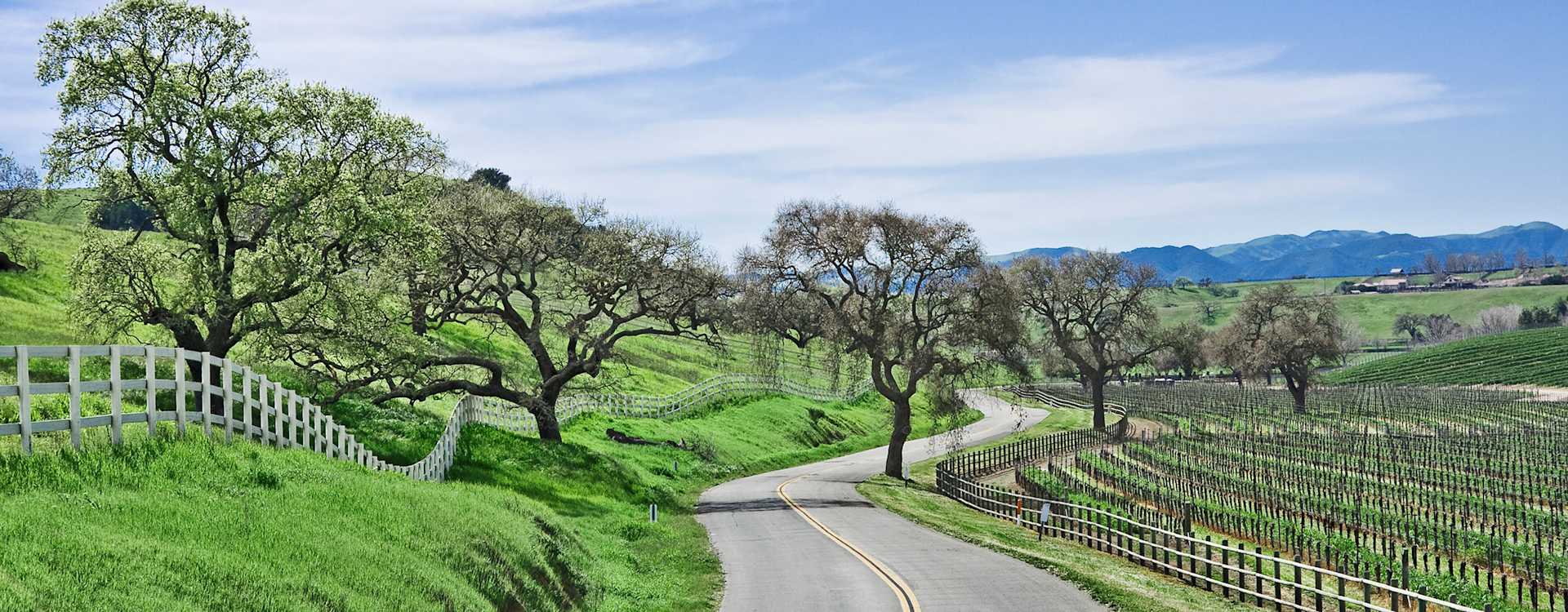 Image for Santa Maria Valley Wine Central Coast, California content section