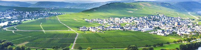 Image for Mosel Wine Germany content section