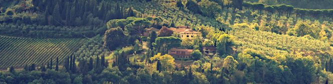 Image for Calabrian Wine Italy content section