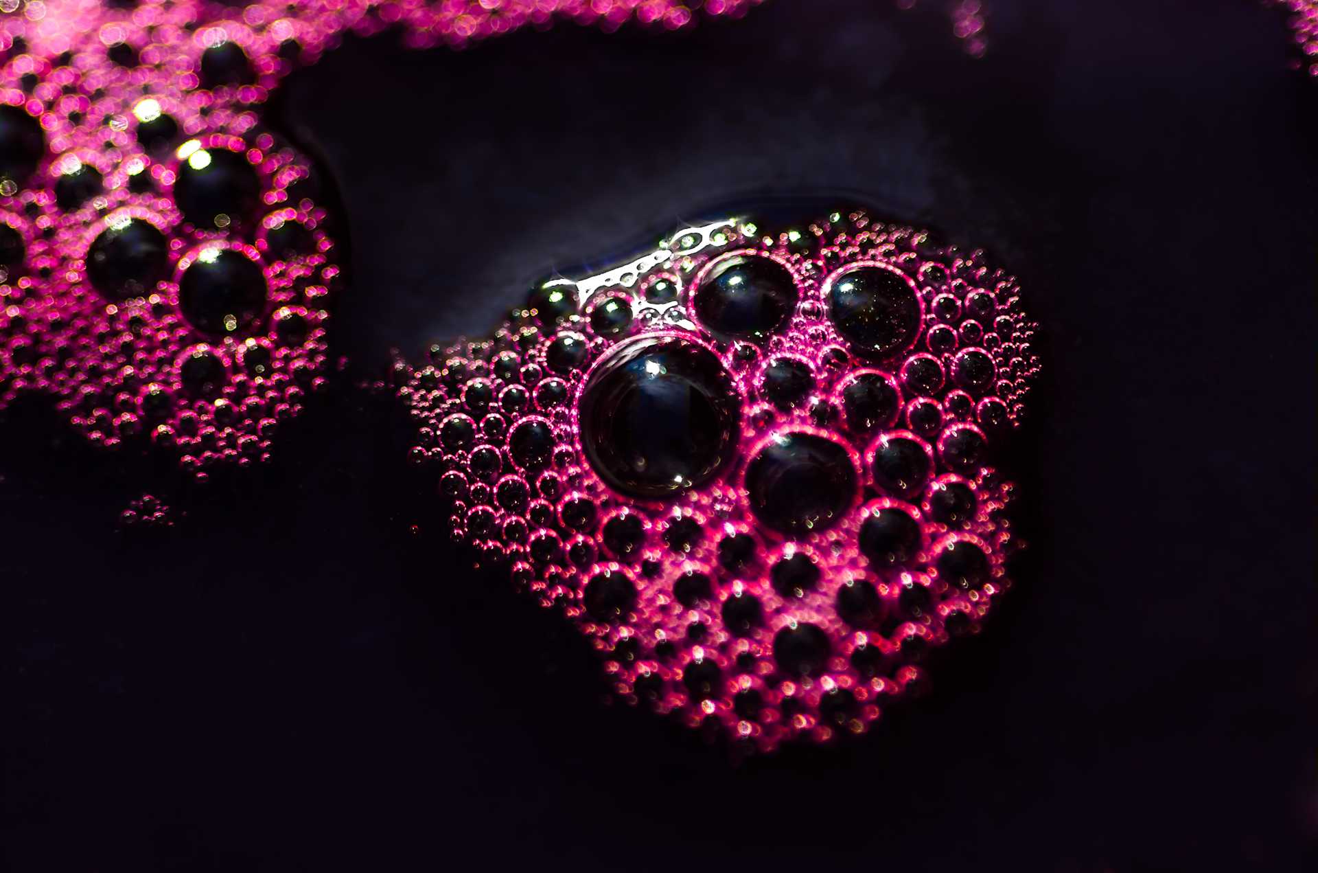Image for Red Sparkling Wine content section